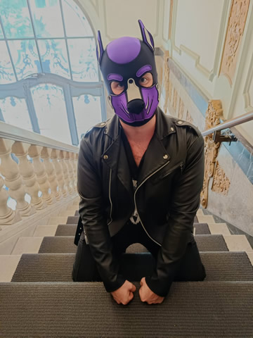 Björn