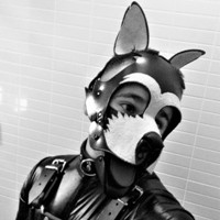 Dark